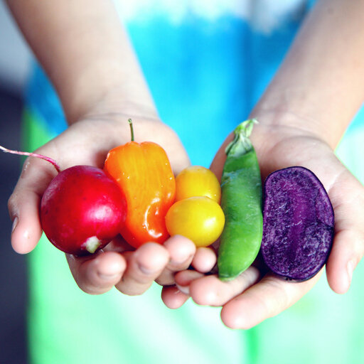 womans hands holding vegetables